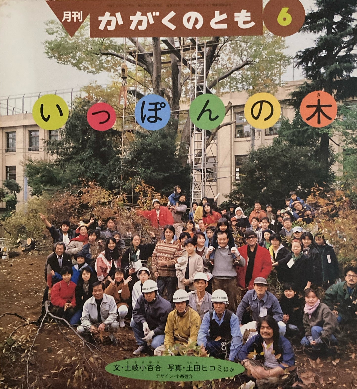 いっぽんの木　かがくのとも303号 　1994年6月号