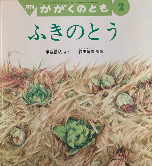 ふきのとう　甲斐信枝　かがくのとも371号　2000年2月号