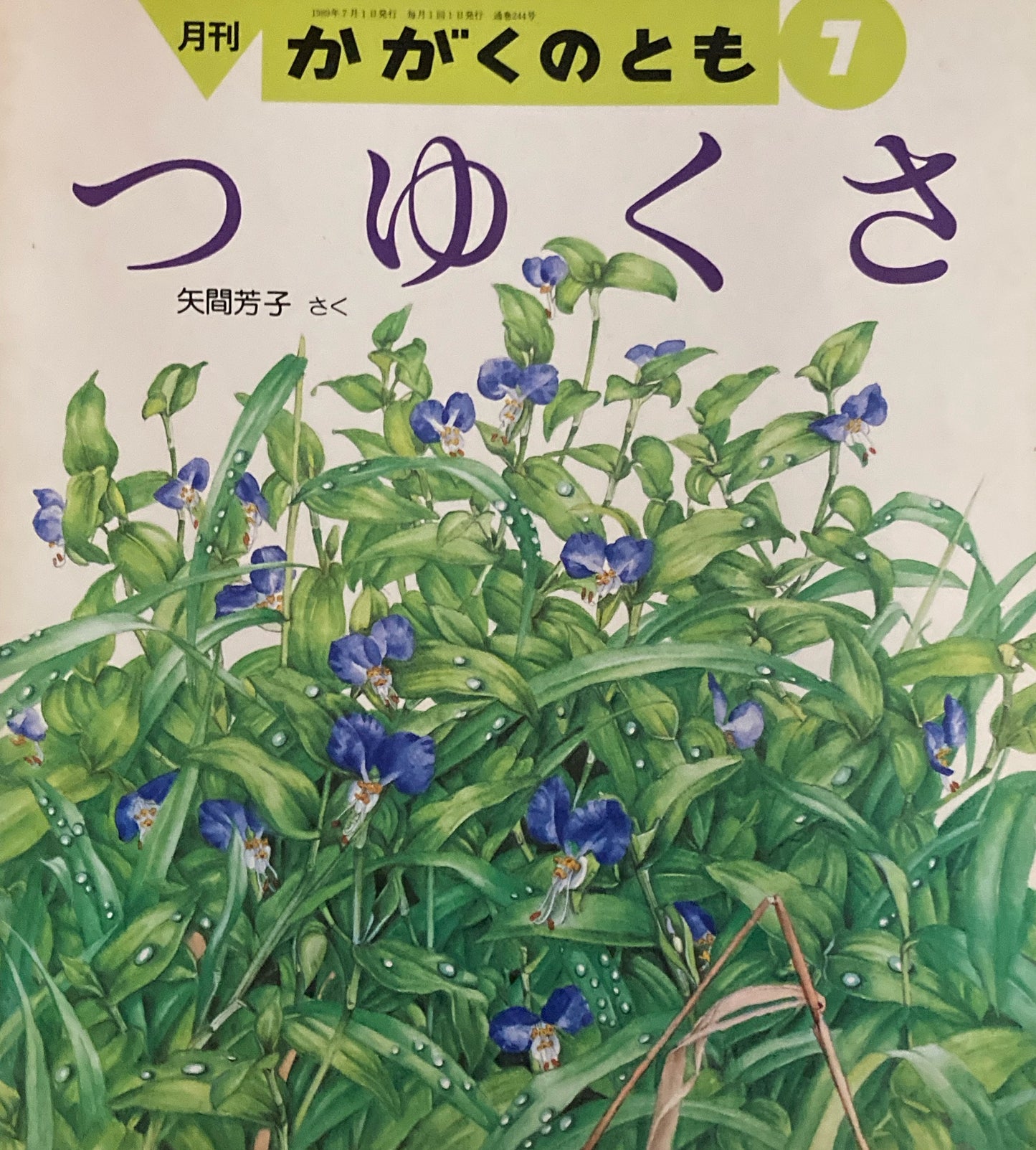 つゆくさ　かがくのとも244号 　1989年7月号