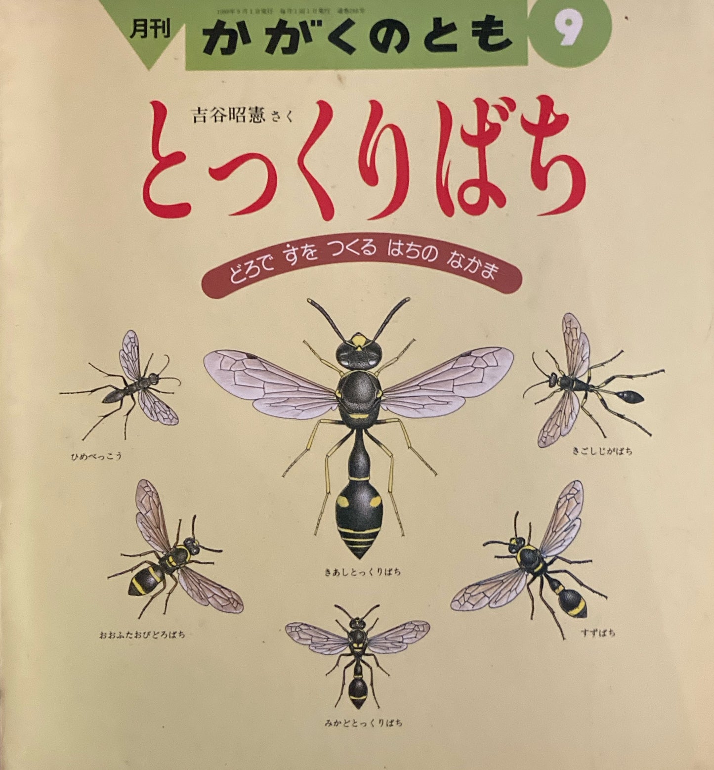 とっくりばち　かがくのとも246号 　1989年9月号　