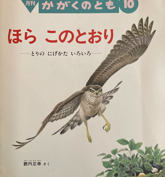 ほらこのとおり　とりのにげかたいろいろ　かがくのとも355号　1998年10月号