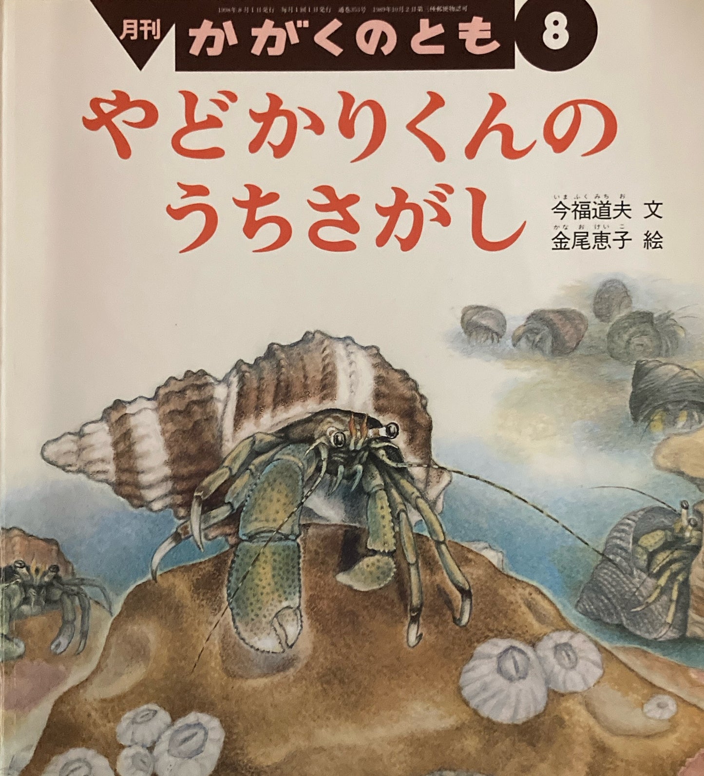 やどかりくんのうちさがし　かがくのとも353号　1998年8月号