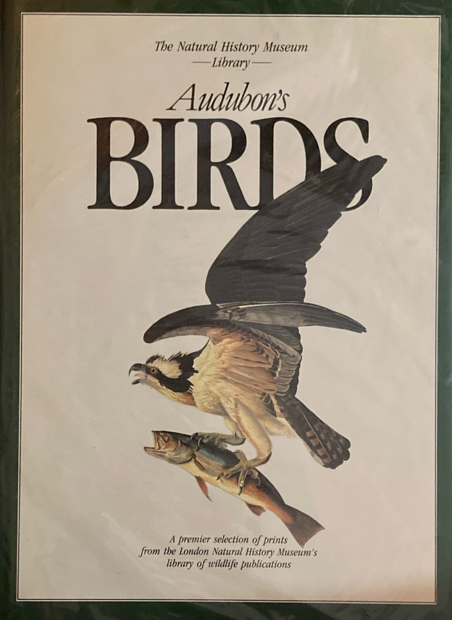 Audubon's Birds　Natural History Museum Library　J.J. Audubon　