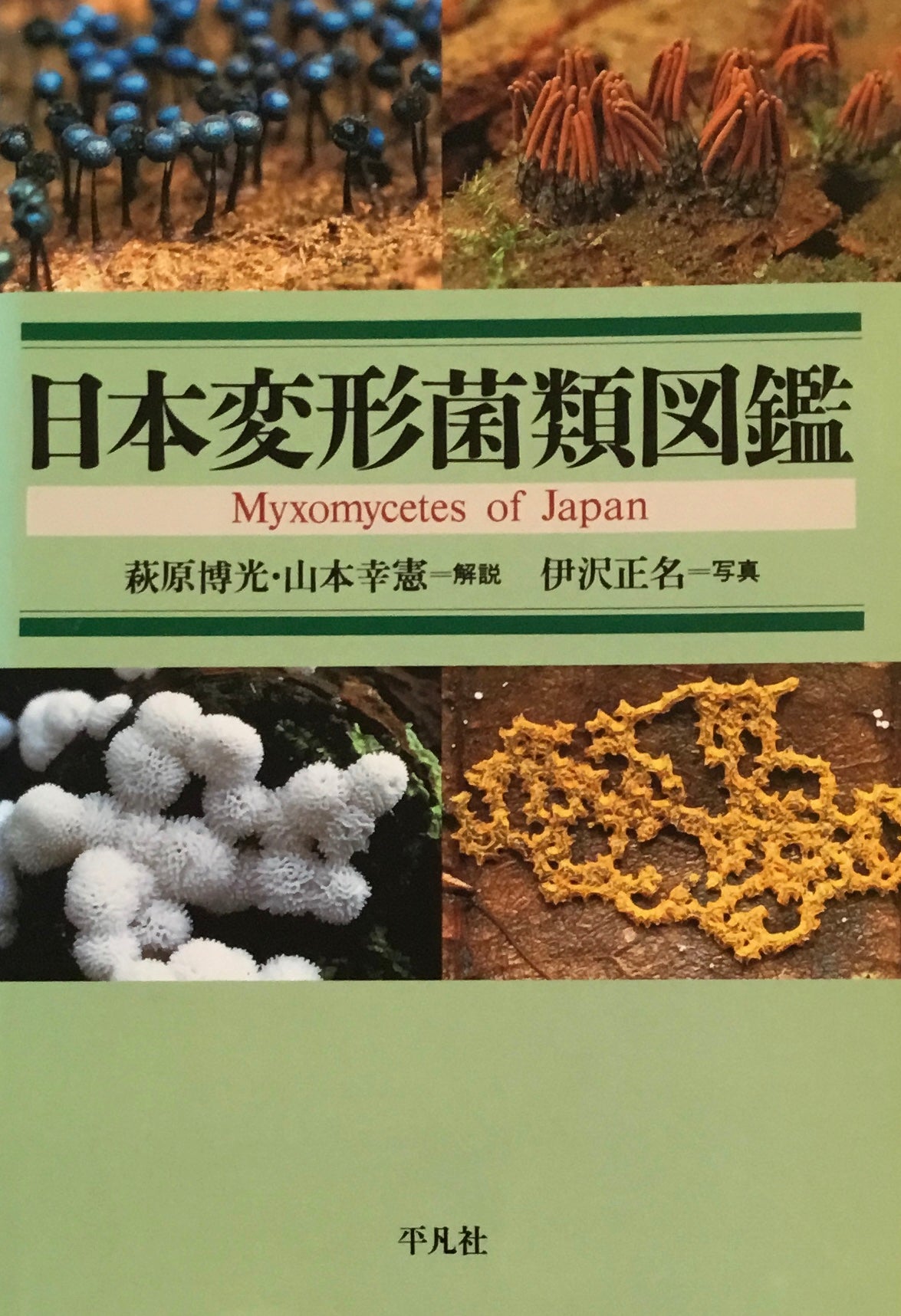 日本変形菌類図鑑　萩原博光　山本幸憲　伊沢正名