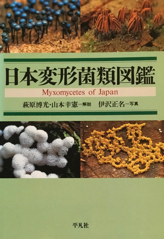 日本変形菌類図鑑　萩原博光　山本幸憲　伊沢正名