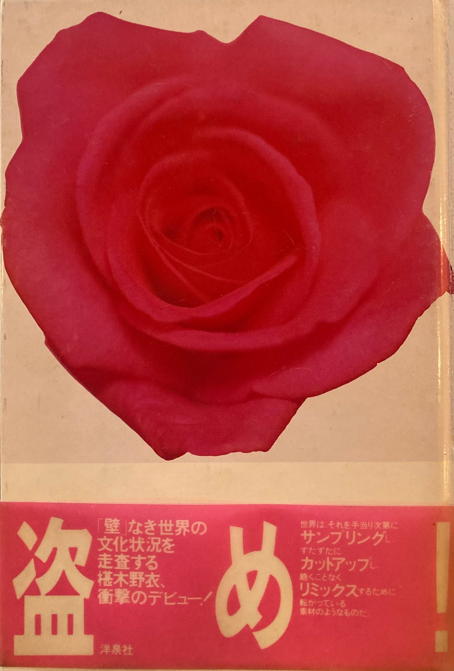 シミュレーショニズム　ハウス・ミュージックと盗用芸術　椹木野衣　洋泉社版