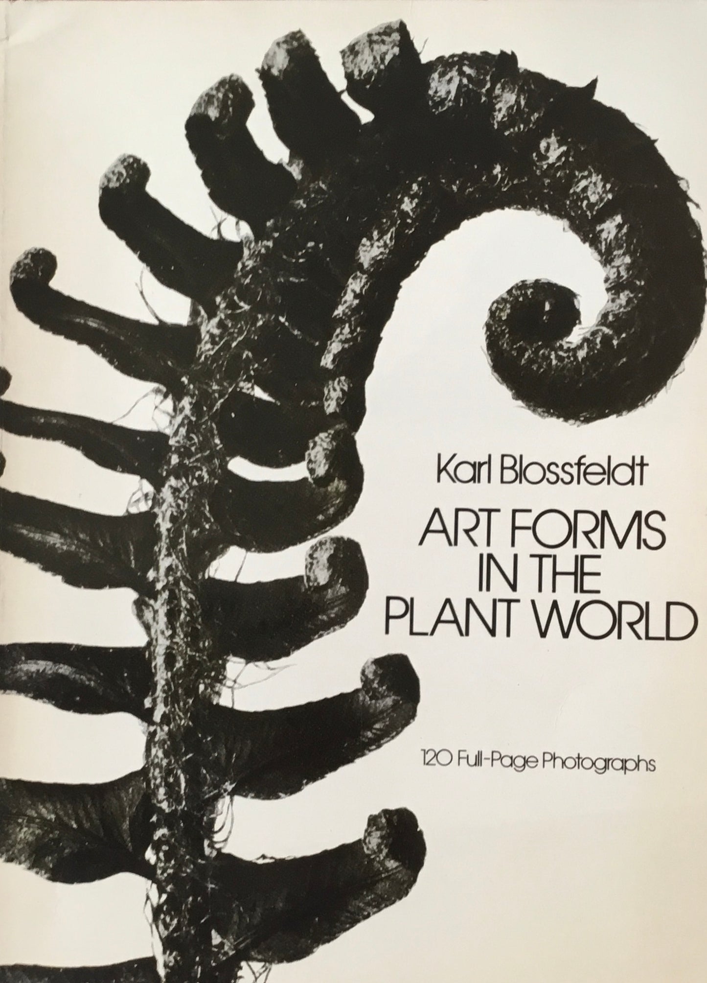 Art Forms in the Plant World　Karl Blossfeldt