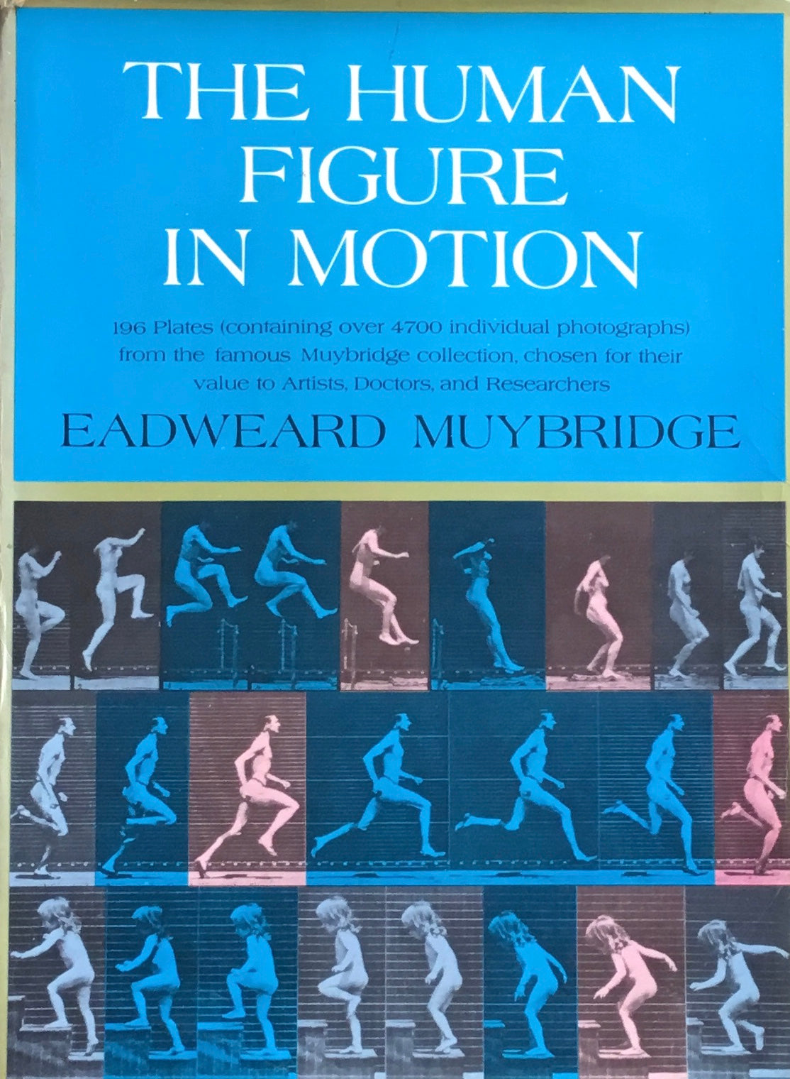 The Human Figure in Motion Eadweard Muybridge