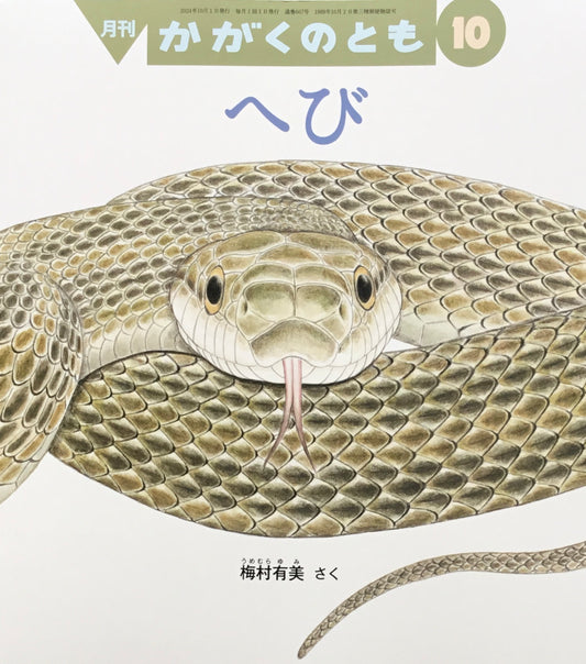 へび かがくのとも667号