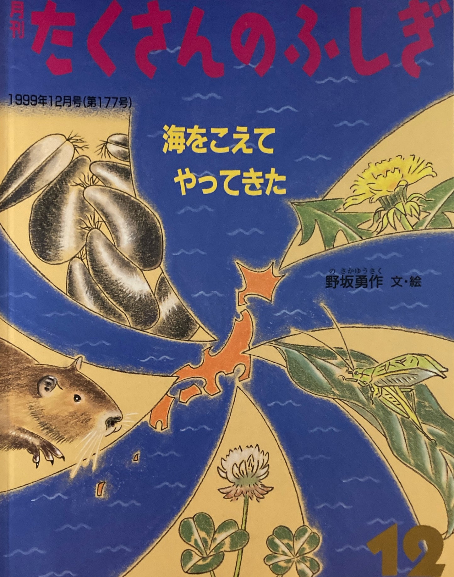 海をこえてやってきた　たくさんのふしぎ177号 　1999年 12月号　