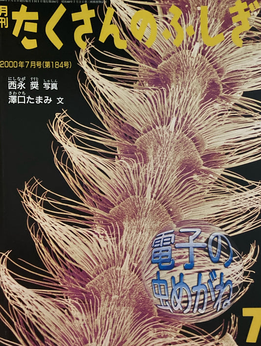 電子の虫めがね　たくさんのふしぎ184号 　2000年 7月号　