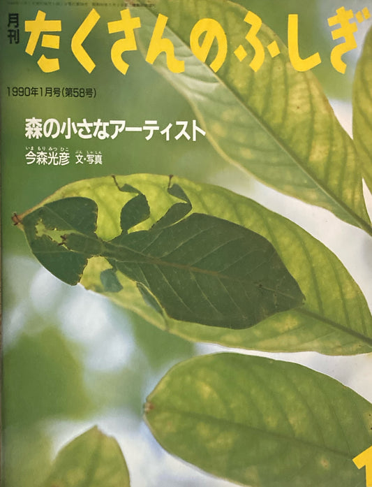 森の小さなアーティスト　たくさんのふしぎ58号 　1990年1月号