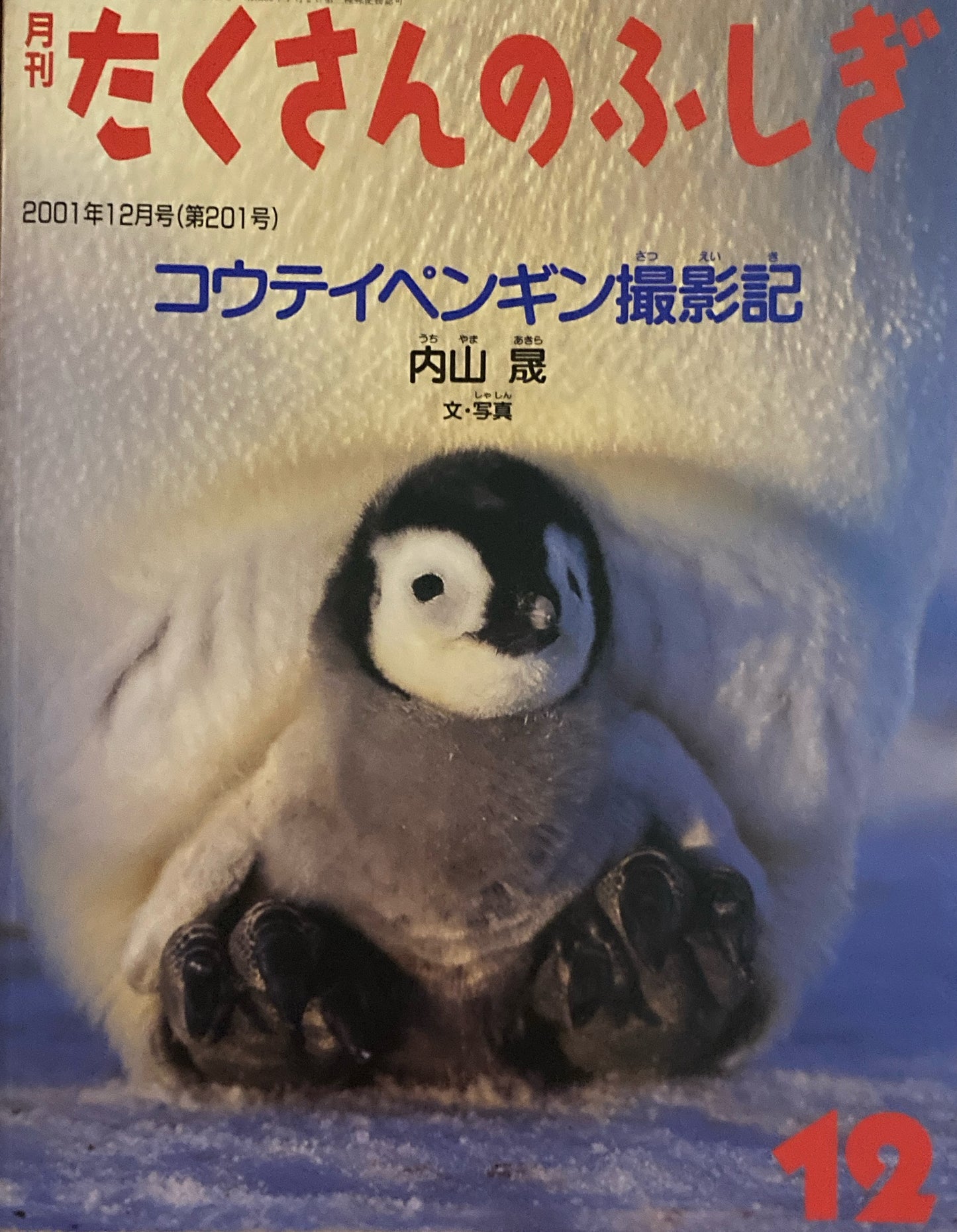 コウテイペンギン撮影記　たくさんのふしぎ201号　2001年12月号