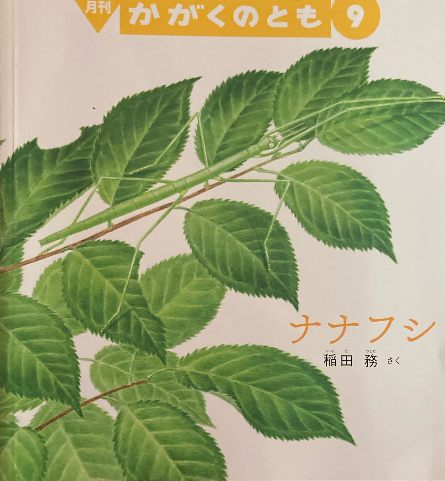 ナナフシ　かがくのとも630号　2021年9月号