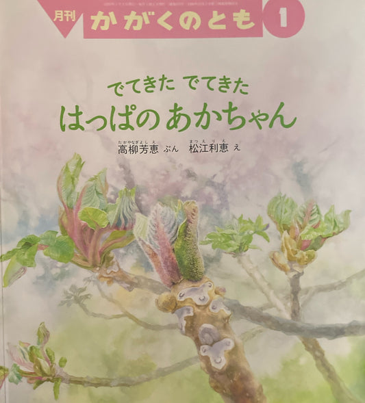 でてきたでてきた　はっぱのあかちゃん　かがくのとも610号　2020年1月号