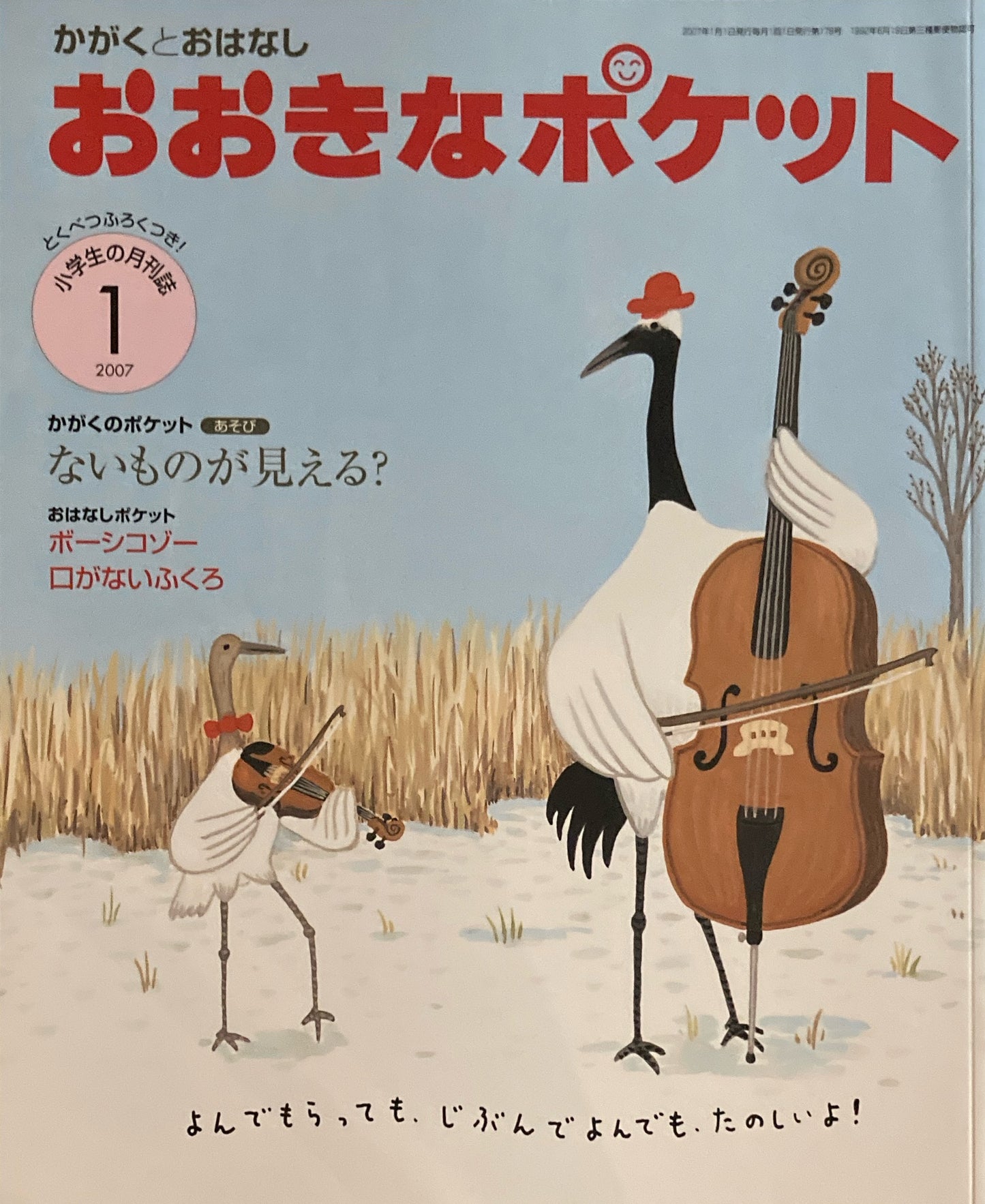 おおきなポケット　かがくとおはなし　2007年1月号　178号　ないものが見える？