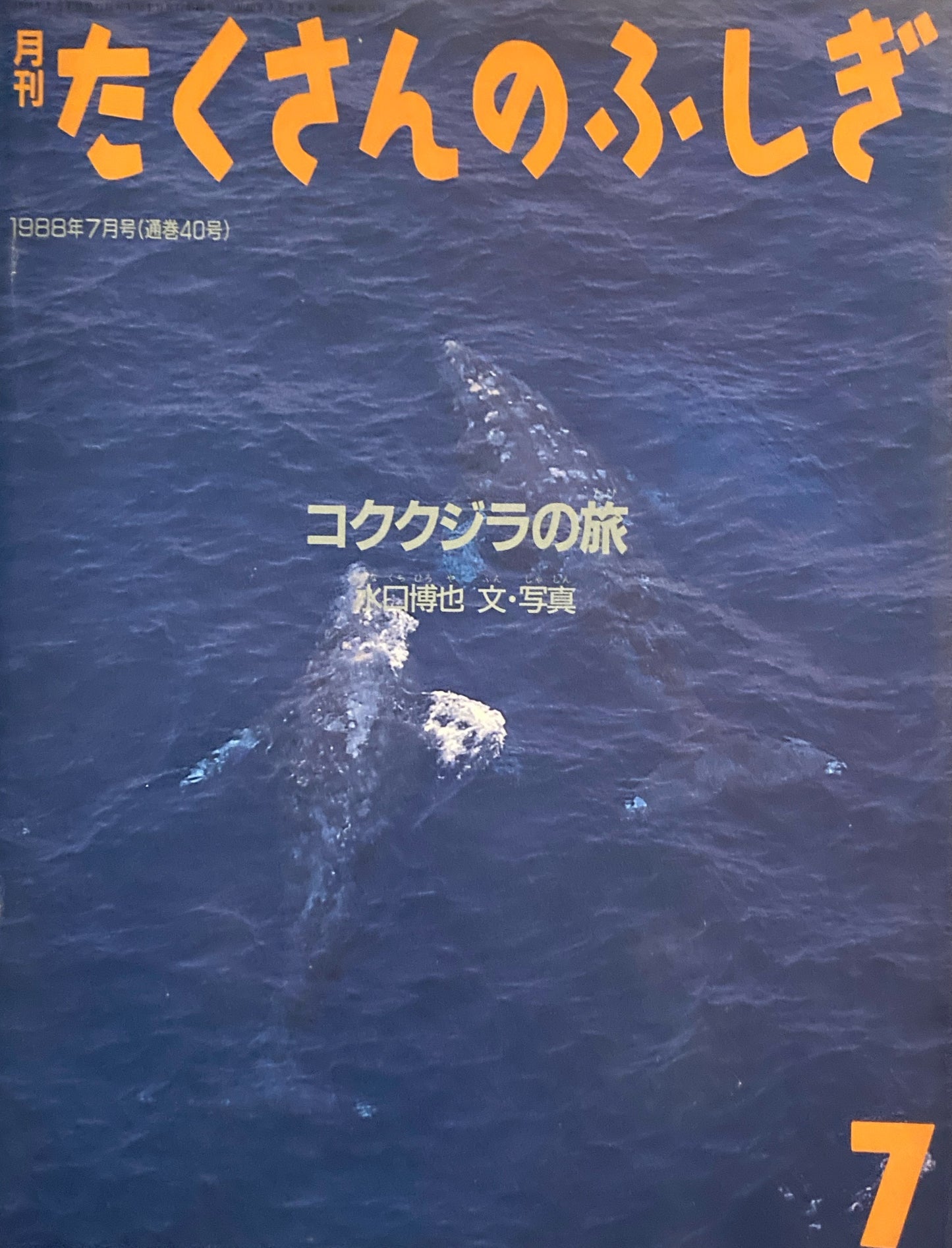 コククジラの旅　たくさんのふしぎ40号　1988年7月号