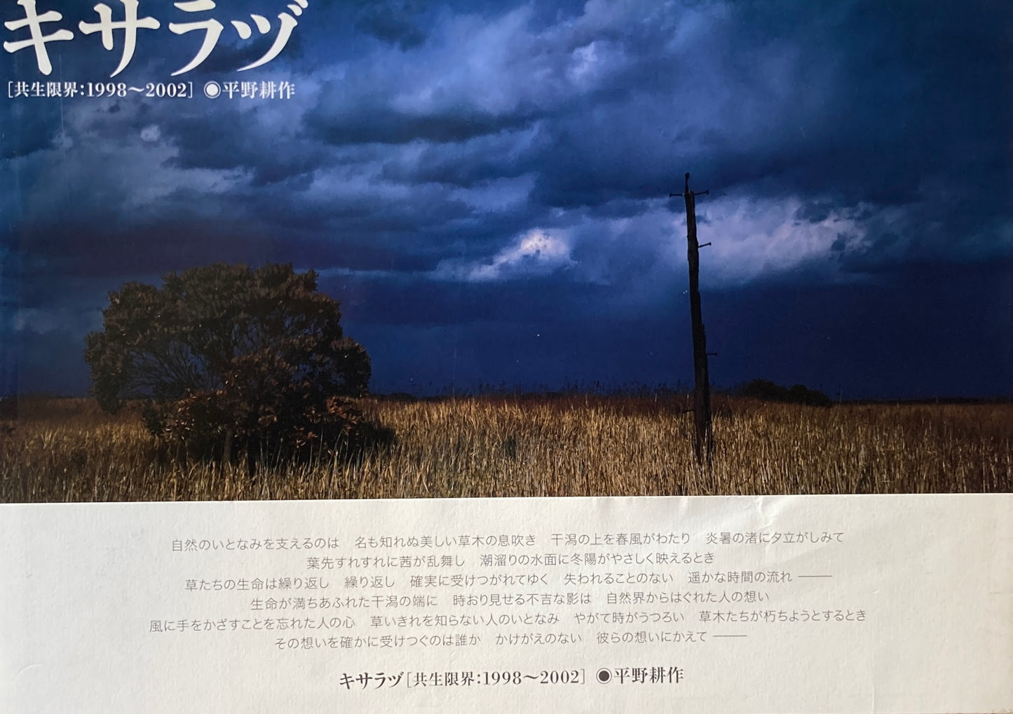 キサラヅ　共生限界：1998～2002　平野耕作　