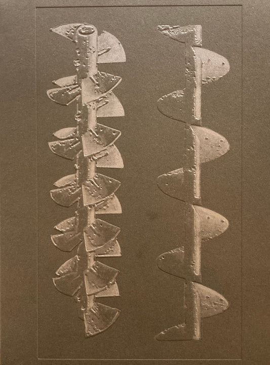 La Nonpareille 　Batia Suter　バティア・スーター