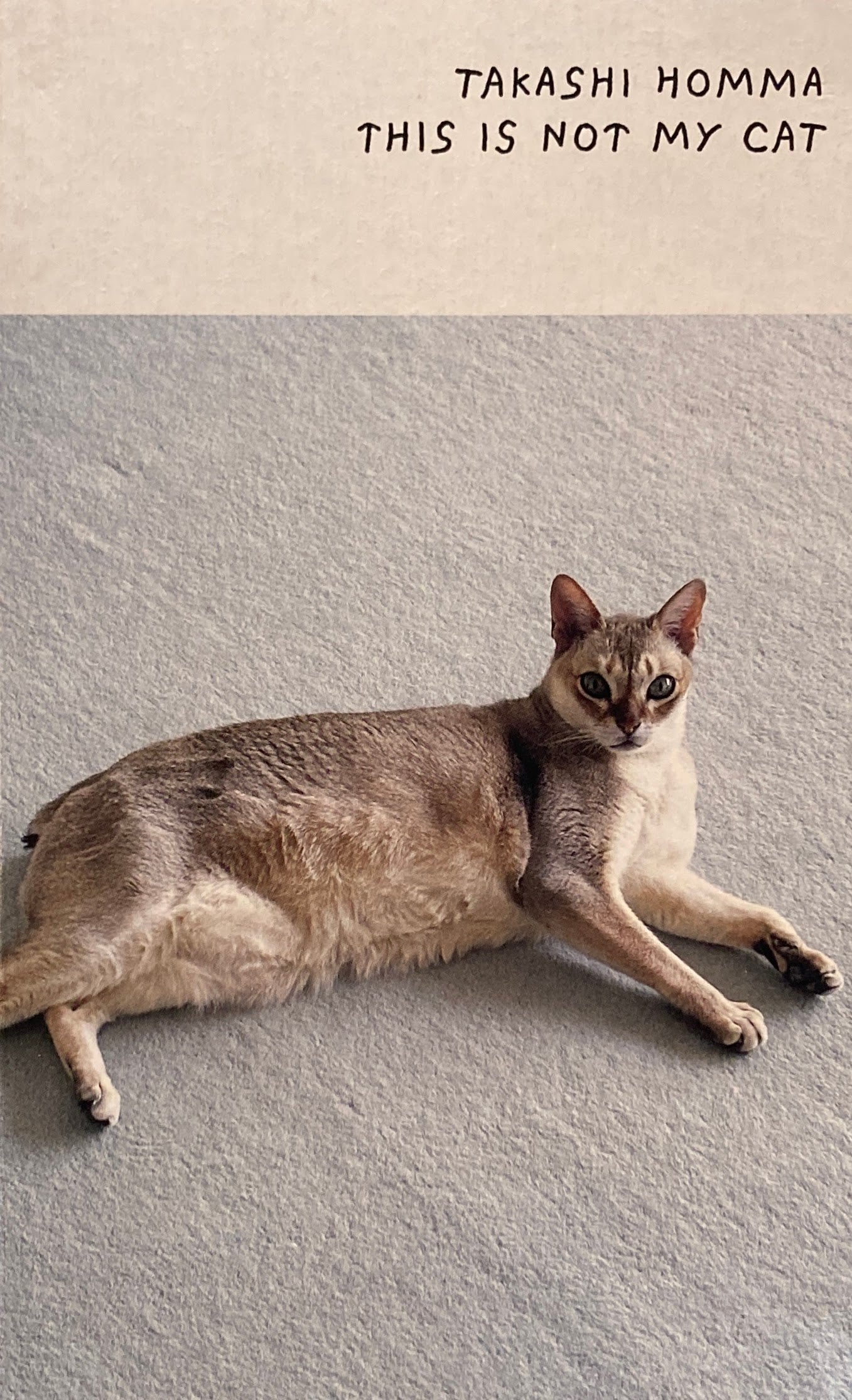 This Is Not My Cat  Takashi Homma　ホンマタカシ　