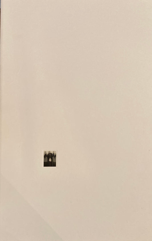 石と桃　木村和平