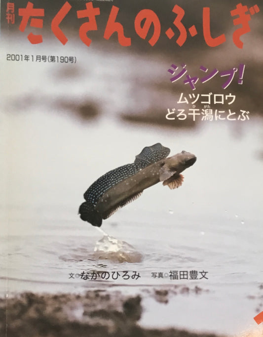 ジャンプ！　ムツゴロウどろ干潟にとぶ　たくさんのふしぎ190号