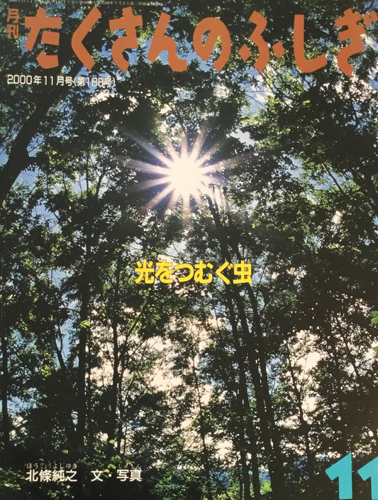 光をつむぐ虫 たくさんのふしぎ188号