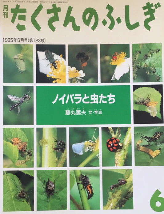 ノイバラと虫たち　たくさんのふしぎ123号