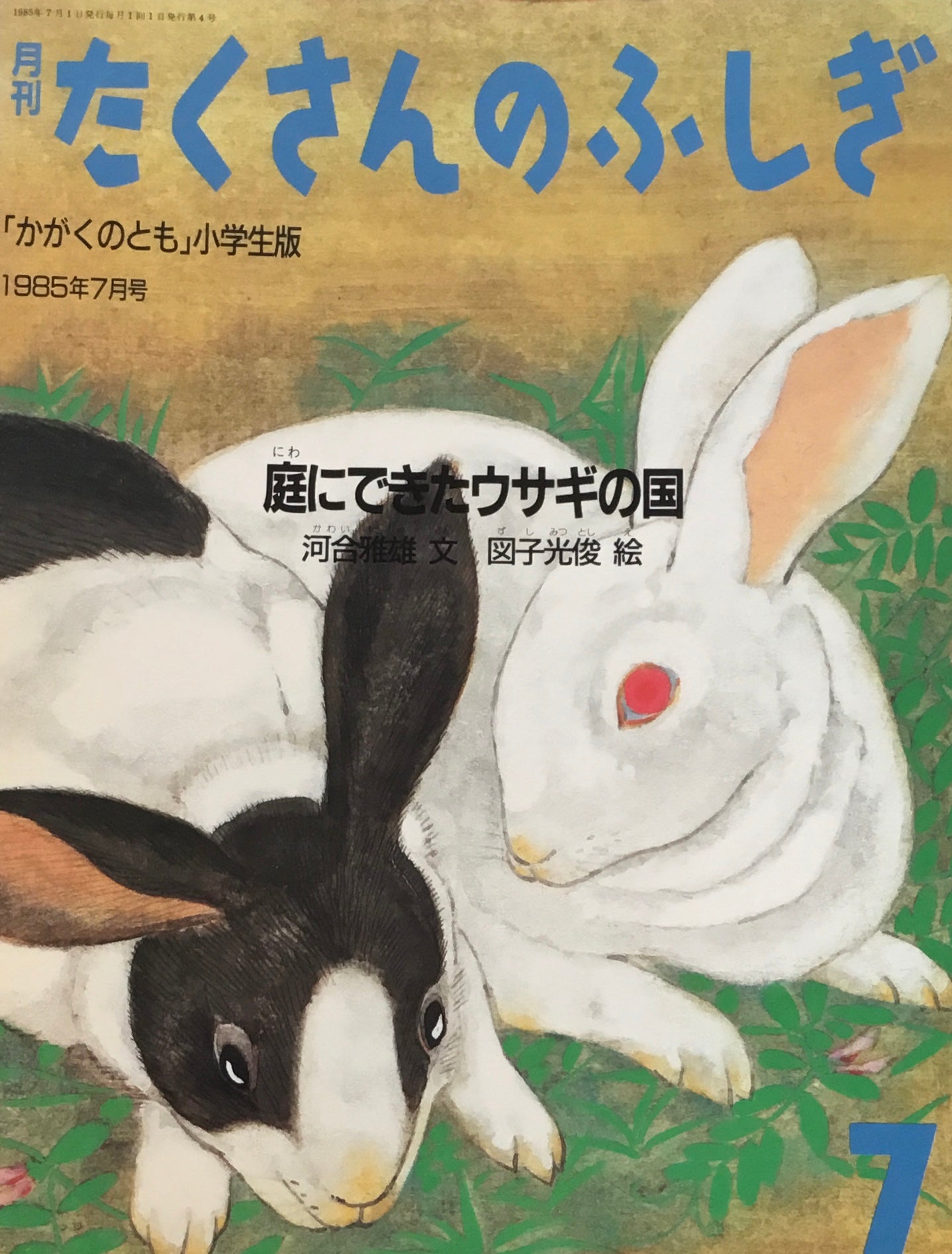 庭にできたウサギの国　たくさんのふしぎ4号　1985年7月号