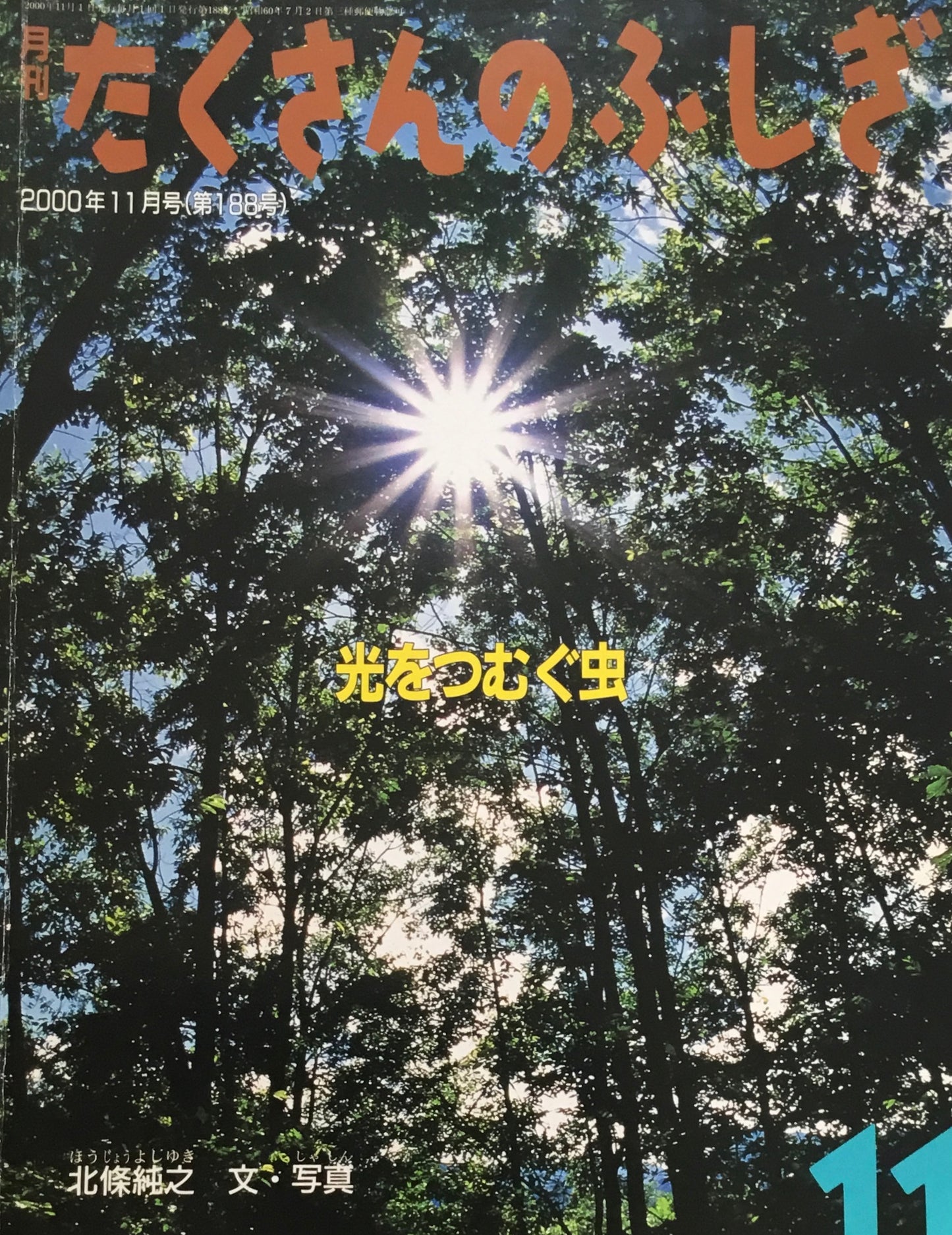 光をつむぐ虫　たくさんのふしぎ188号　2000年11月号