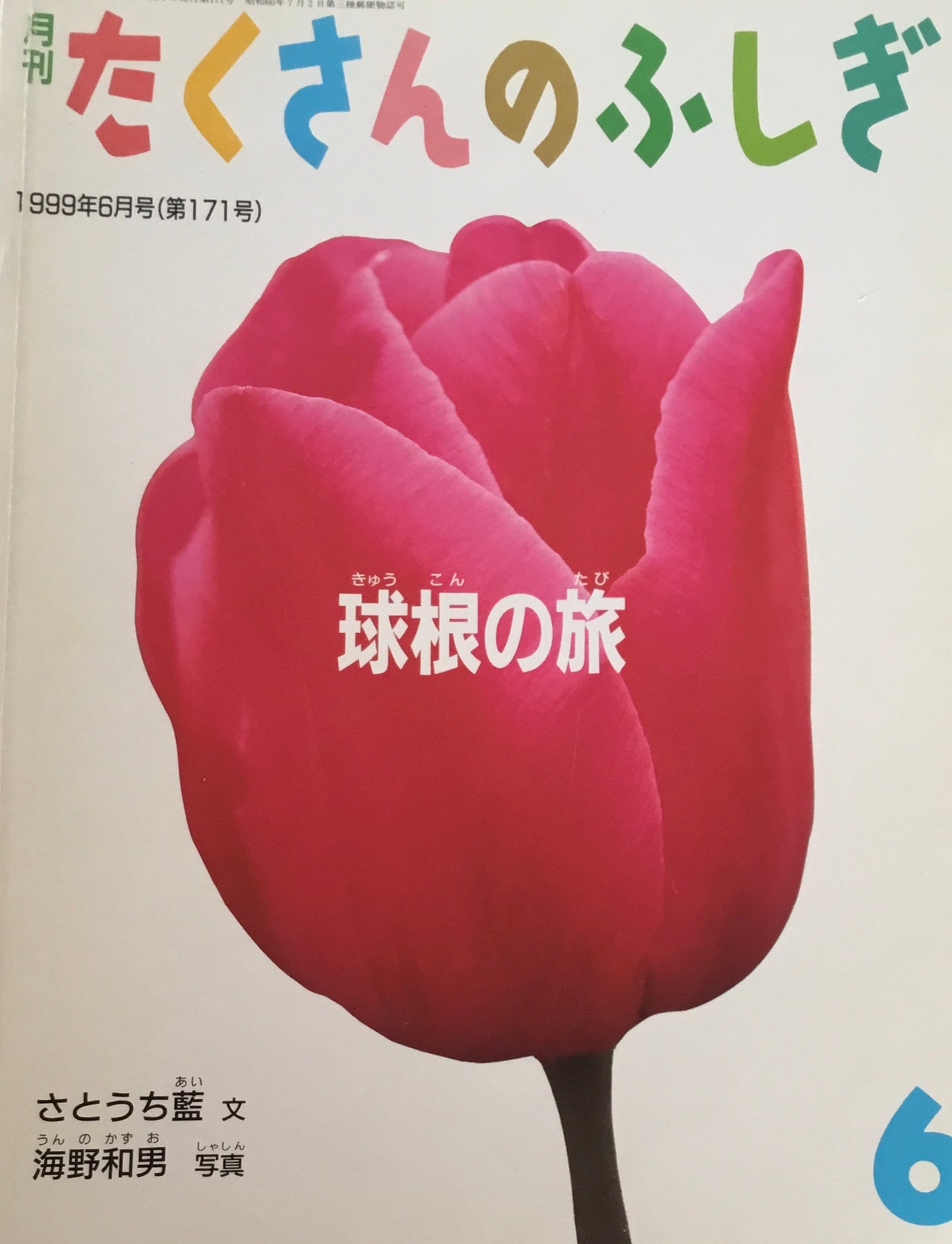 球根の旅　たくさんのふしぎ171号　1999年6月号