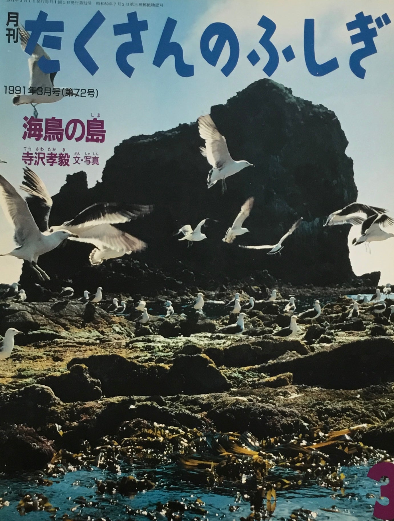 海鳥の島　たくさんのふしぎ72号 　1991年3月号