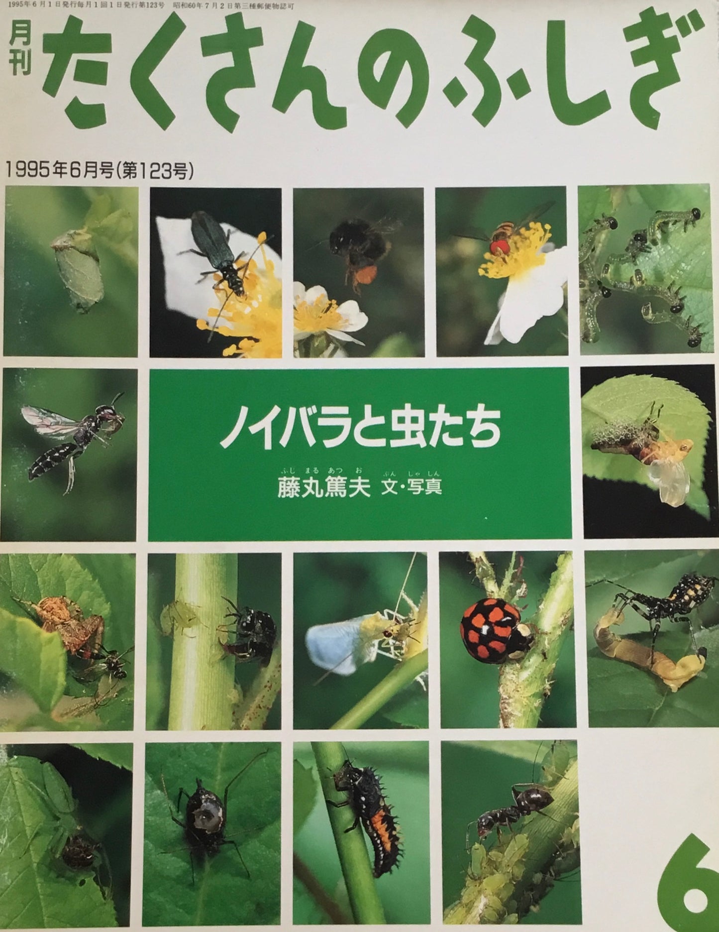 ノイバラと虫たち　たくさんのふしぎ123号　1995年6月号