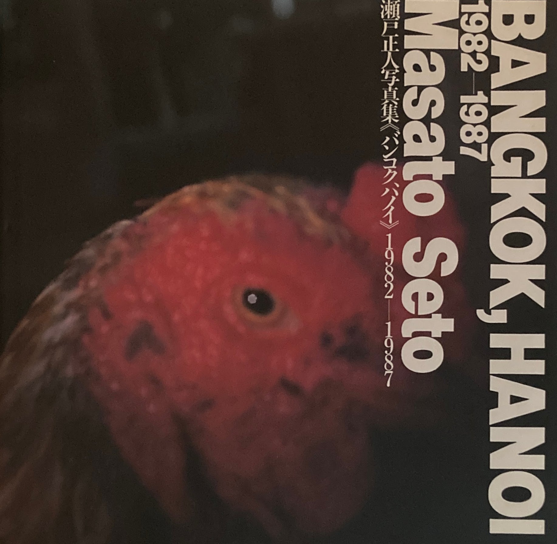 BANGKOK, HANOI　バンコク、ハノイ　Ⅰ982-1987　瀬戸正人