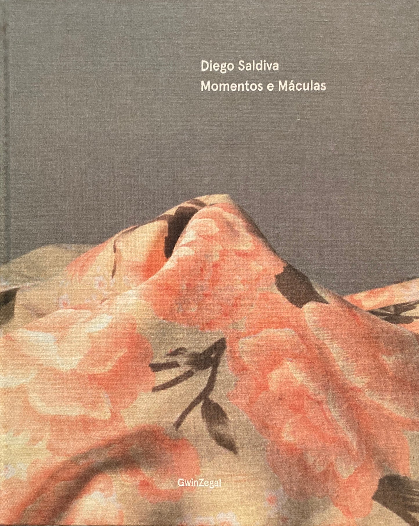 Momentos e Maculas Diego Saldiva