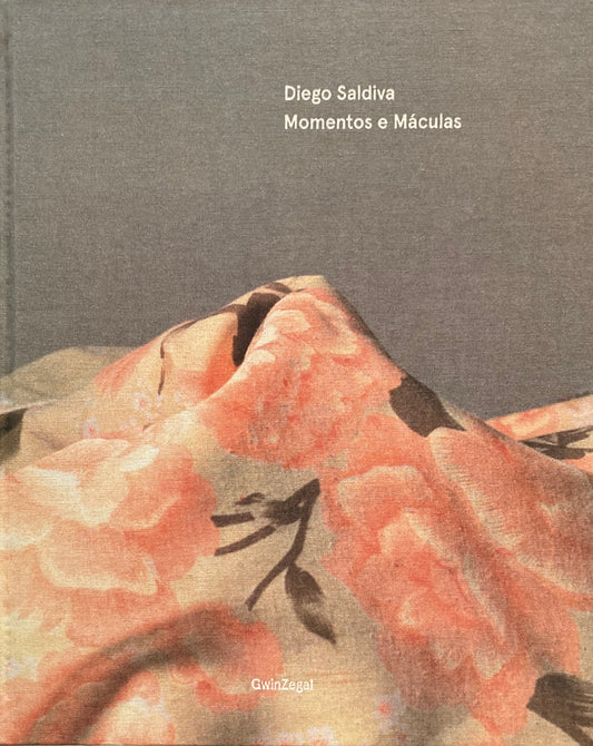 Momentos e Maculas Diego Saldiva