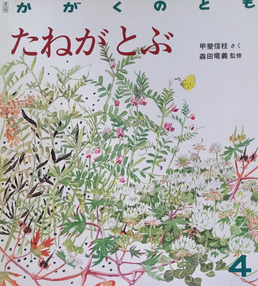 たねがとぶ　かがくのとも217号　1987年4月号