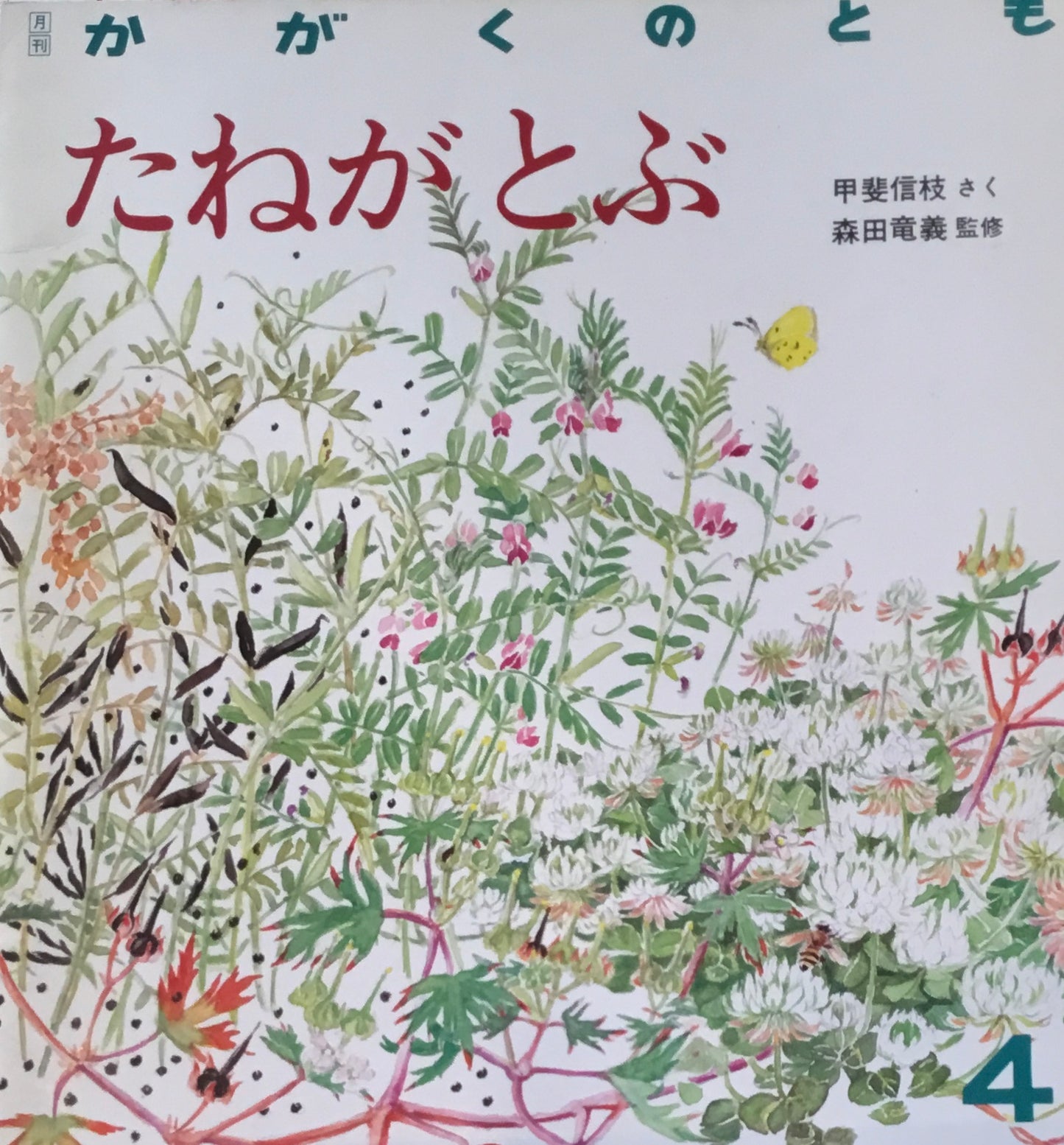 たねがとぶ　かがくのとも217号　1987年4月号