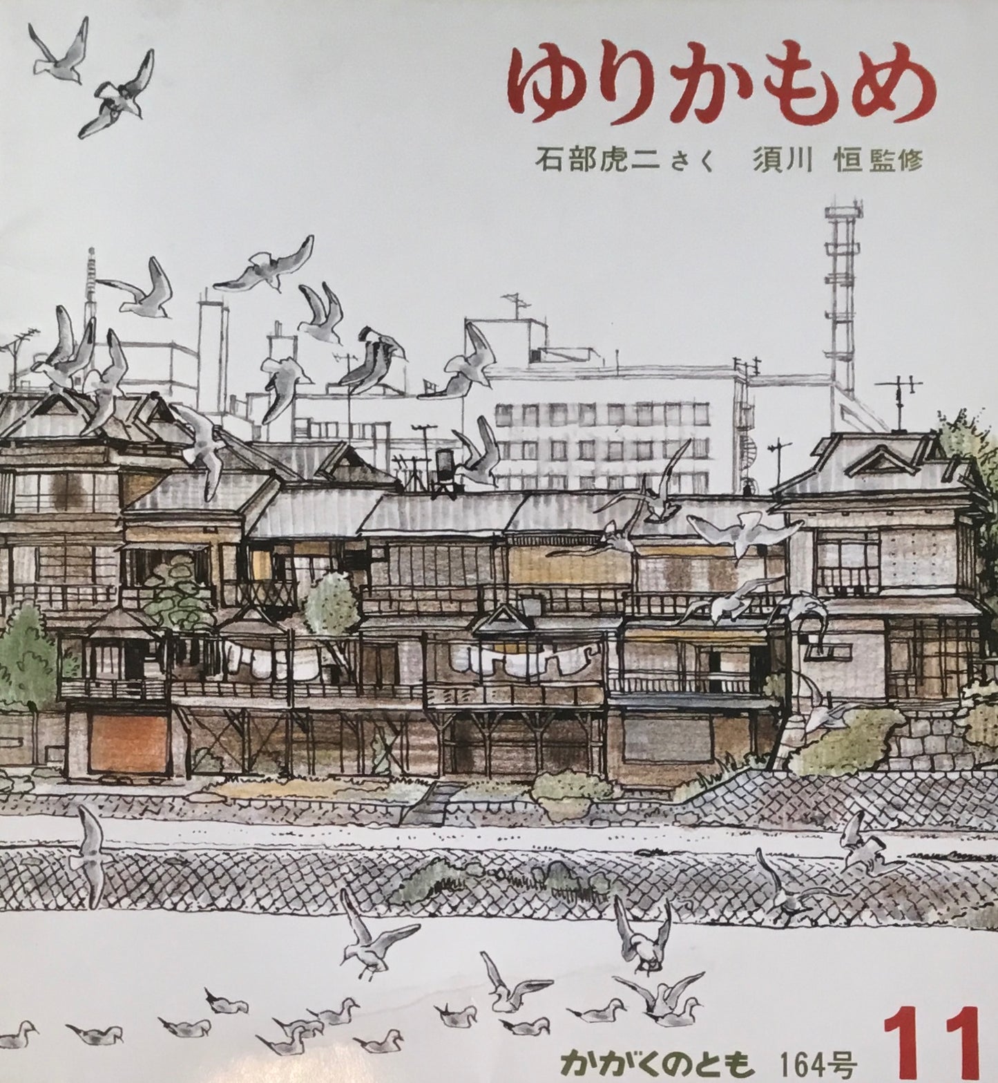 ゆりかもめ　石部虎二　かがくのとも164号　1982年11月号