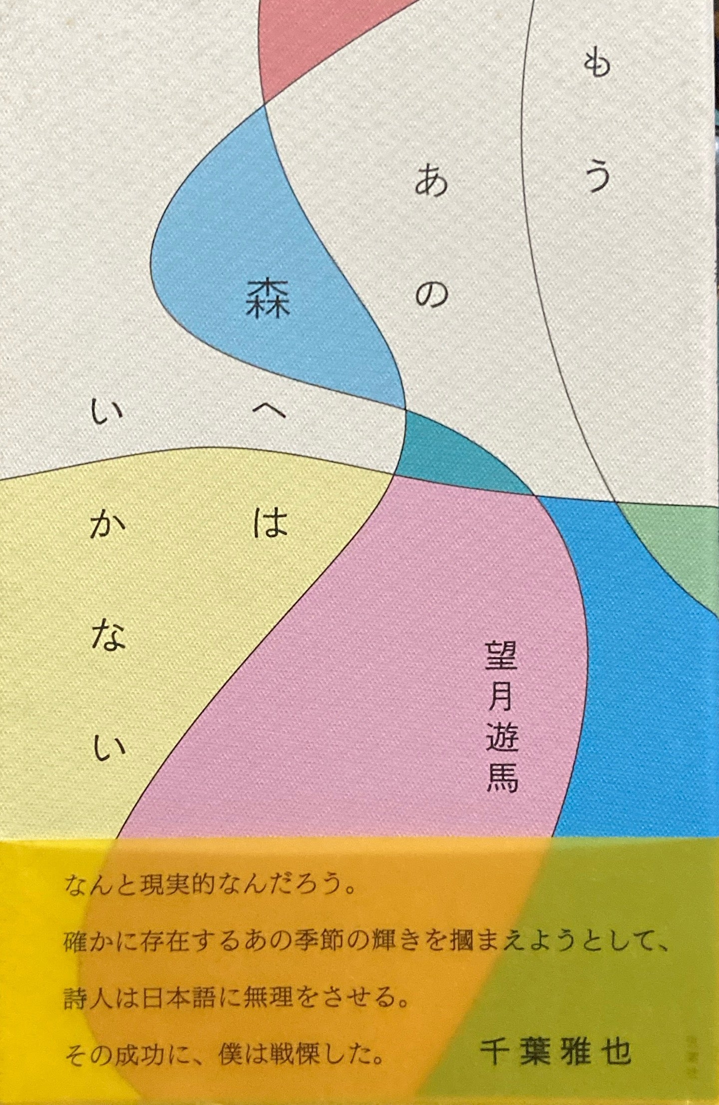 もうあの森へはいかない　望月遊馬