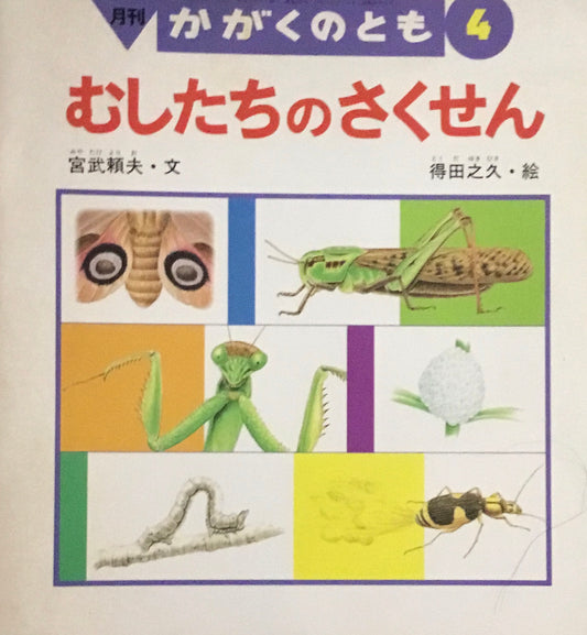 むしたちのさくせん　かがくのとも325号　1996年4月号