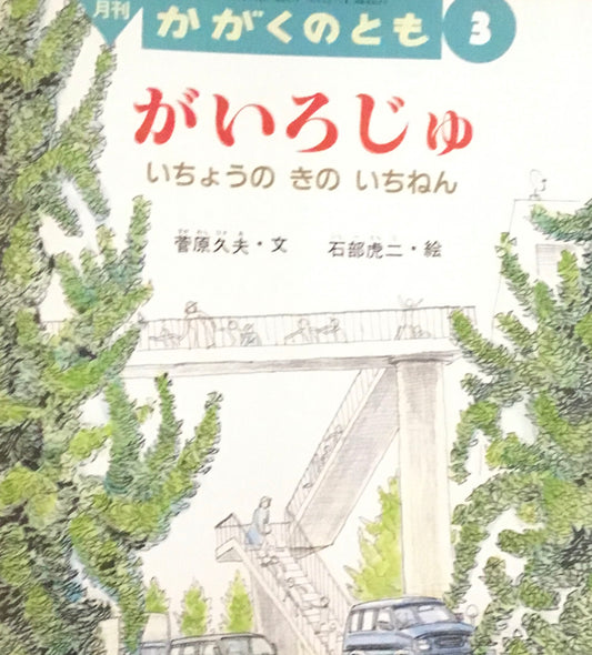 がいろじゅ　いちょうのきのいちねん　かがくのとも312号　1995年3月号