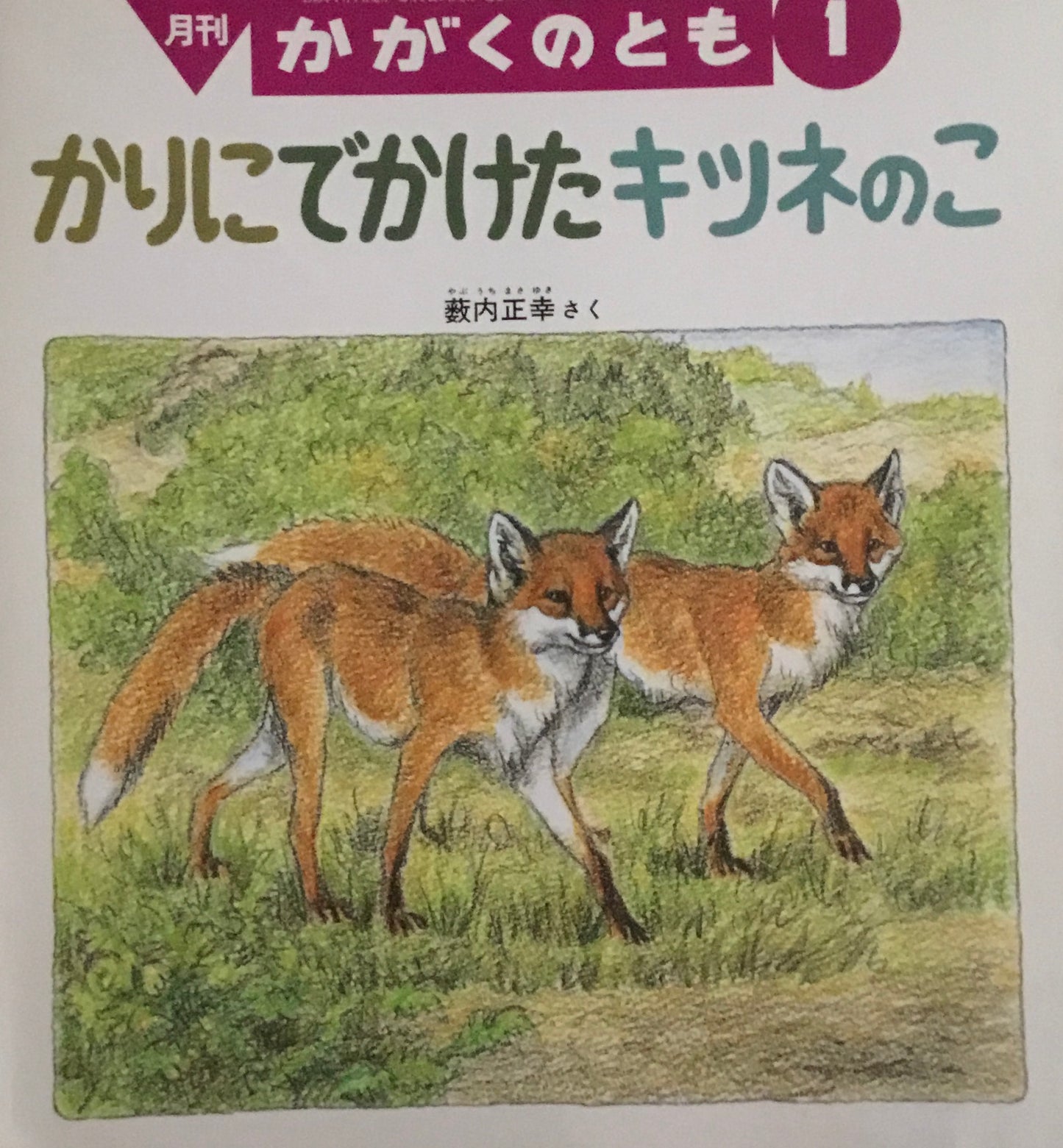 かりにでかけたキツネのこ　薮内正幸　かがくのとも310号　1995年1月号