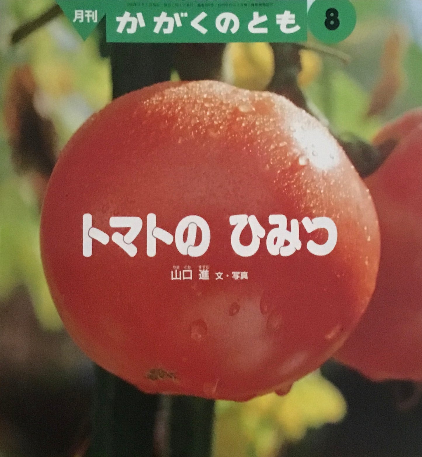 トマトのひみつ　かがくのとも305号 　1994年8月号