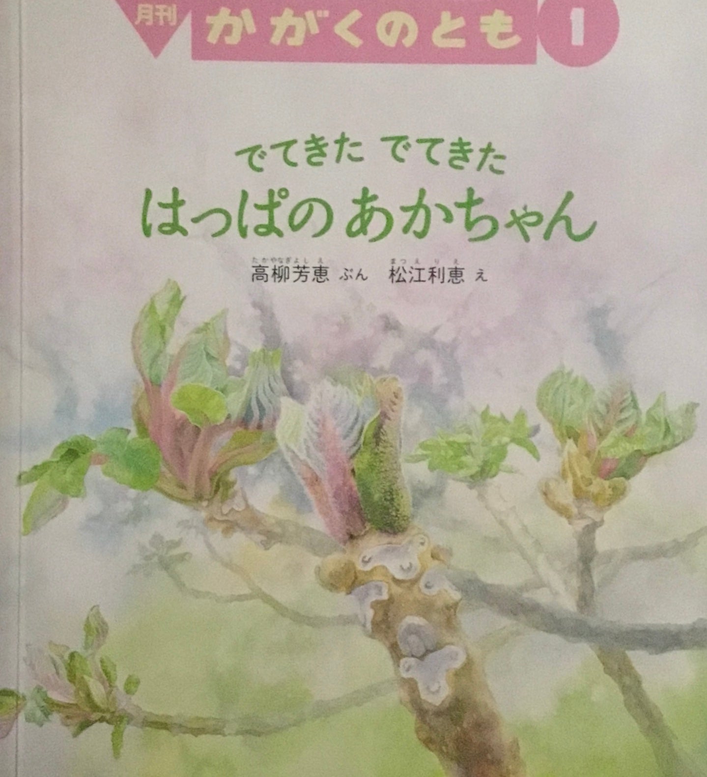 でてきたでてきた　はっぱのあかちゃん　かがくのとも610号　2020年1月号