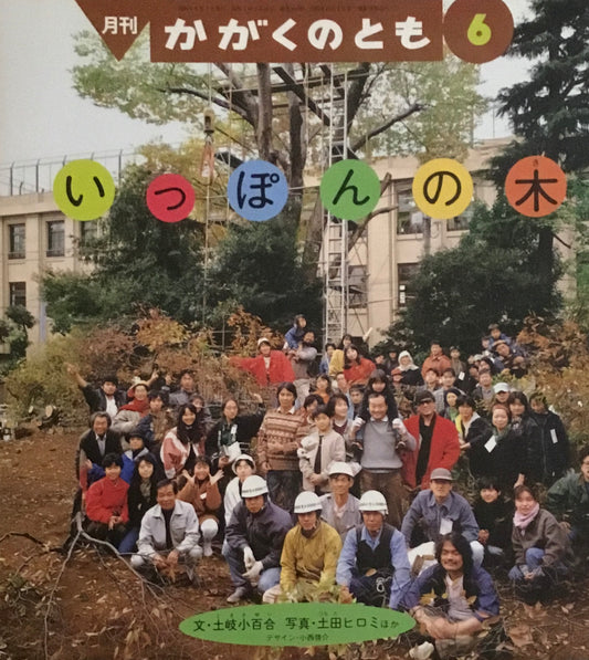 いっぽんの木　かがくのとも303号 　1994年6月号