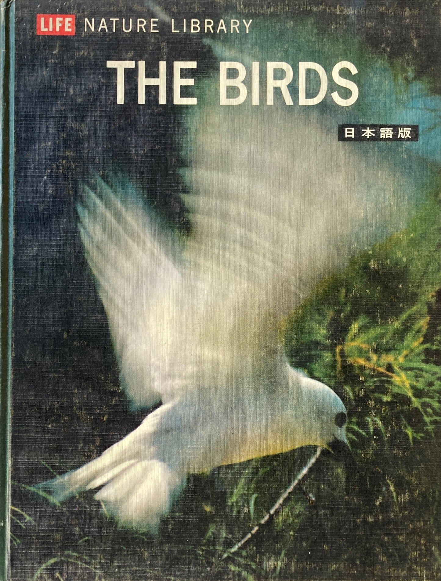 The BIRDS　日本語版　LIFE NATURE LIBRARY　鳥類