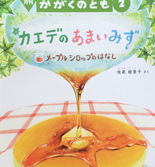 カエデのあまいみず　かがくのとも671号　2025年2月号