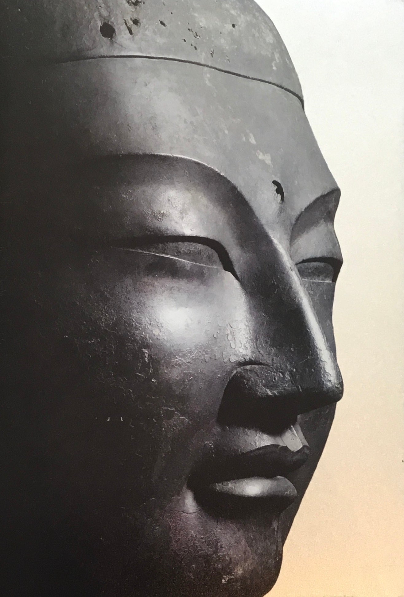 興福寺創建1300年記念　国宝　興福寺仏頭展