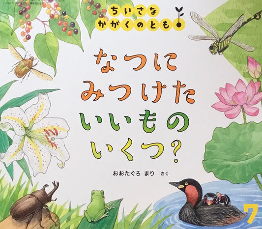 なつにみつけたいいものいくつ？　ちいさなかがくのとも280号　2025年7月号